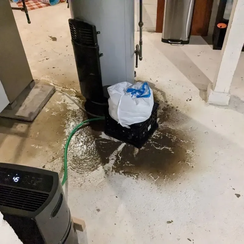 Sewage Backup Cleanup Service in Bucksport, ME